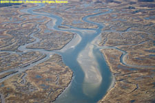 salt marsh