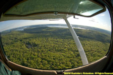 forest and reservoir