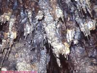 Stalactites growing from the ceiling