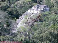 Pyramid from top of Temple IV
