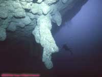 Stalactite at Blue Hole