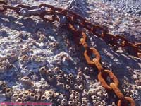 rock and rusty chain