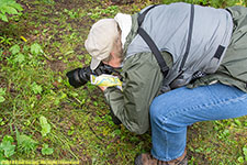 Charlotte photographing vole