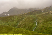 above treeline