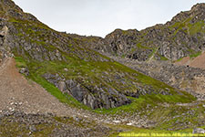 hillside and tailings