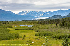 Knik Glacier