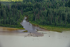 stream emptying into Lower Beluga Lake