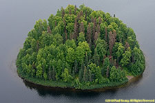 island in Long Lake