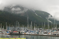 Seward harbor