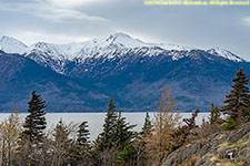 Turnagain Arm