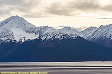 low tide