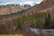 Kenai River