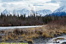 Kenai River