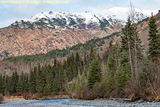 Kenai River