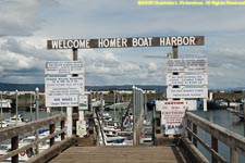 Homer boat harbor