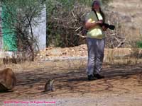 Charlotte and vervet