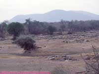 dry river bed