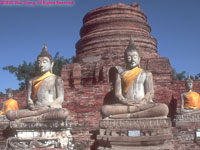 chedi ruin and Buddhas